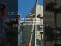 Cat Tekstur Kamprot Area Jakarta-Surabaya, Tahan Cuaca Estetik motif jeruk 082142790789
