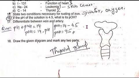 10th Science 1st Revision Exam Question Paper and Answer key 2023