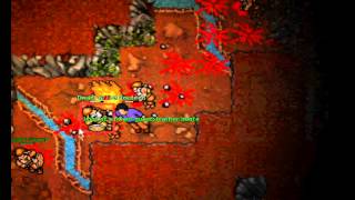 TIBIA CELESTA DWARF GUARD