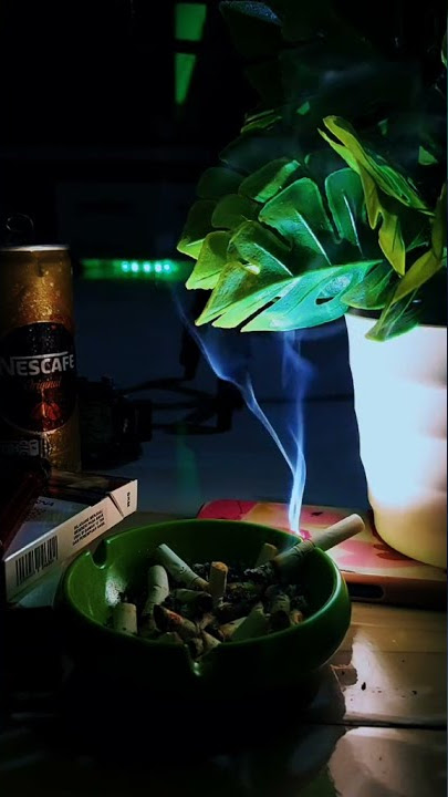 Story Polosan || Ngopi Malam