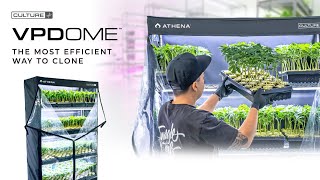 Athena VPDome™️