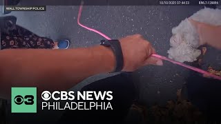 Officers save dog stuck in storm drain in Monmouth County, New Jersey