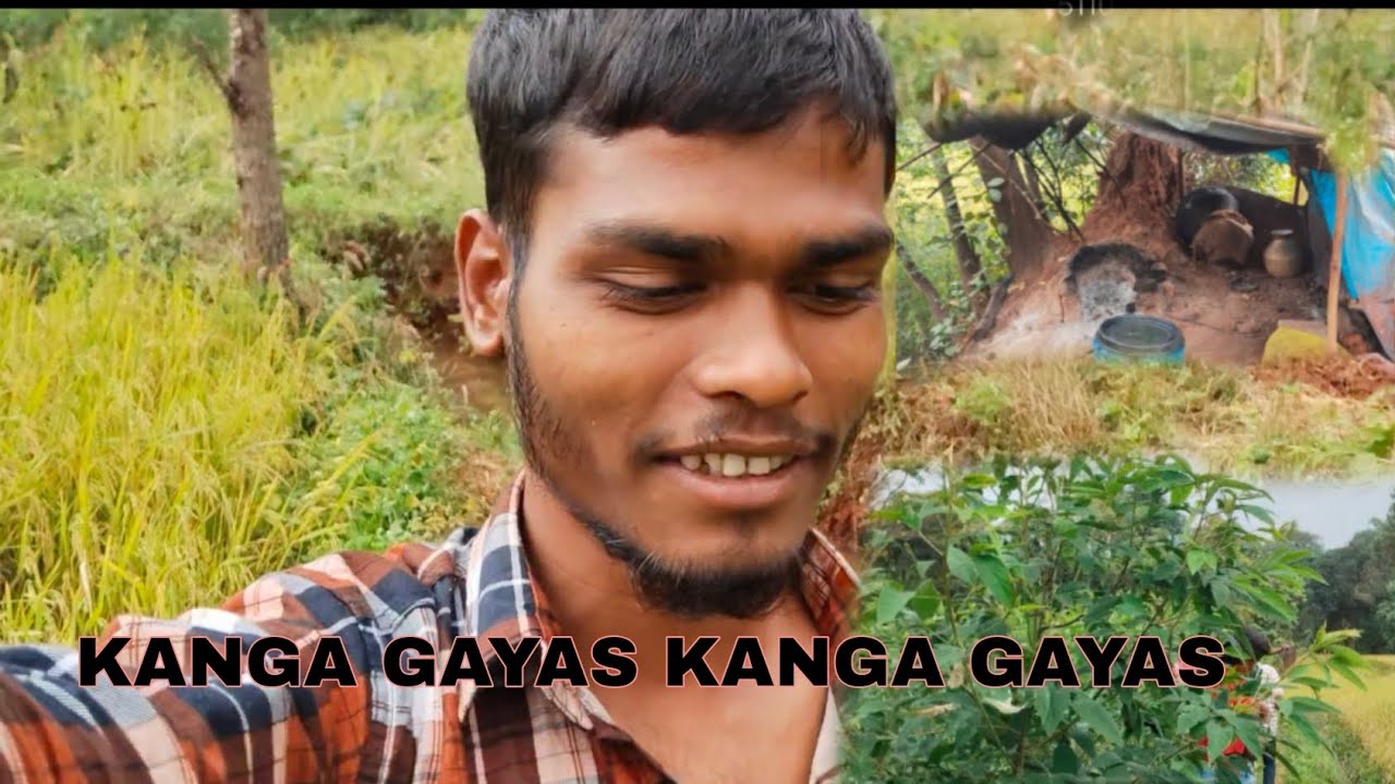 KANGA GAYAS KANGA GAYAS 