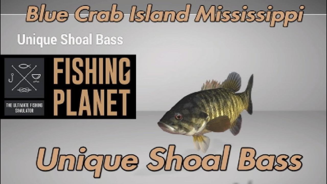 Unique Shoal Bass - Blue Crab Island Mississippi - Fishing Planet Guide