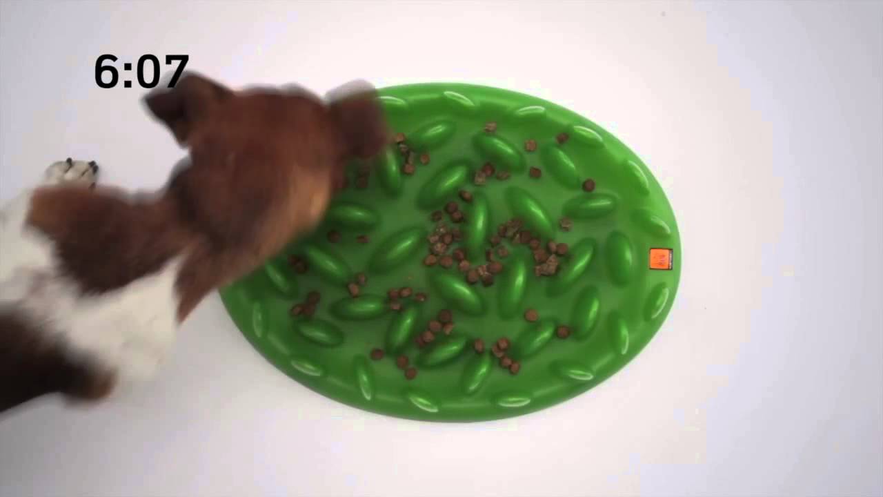 GREEN Interactive Feeder