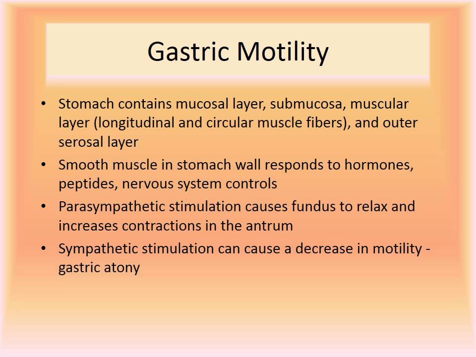 MBC Online Vet Tech Review 2.5 - Gastrointestinal System