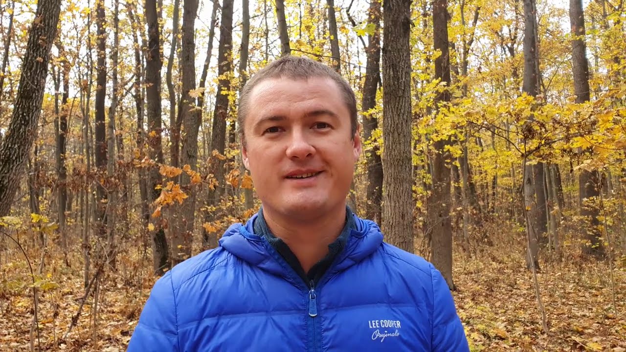 Осеннее мульчирование опавшей листвой! Что нужно знать о удержании влаги для Павловнии!