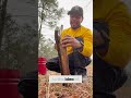 BIGGEST AXE REVEAL! Wood Chopping &amp; Chainsaw Secrets #shorts