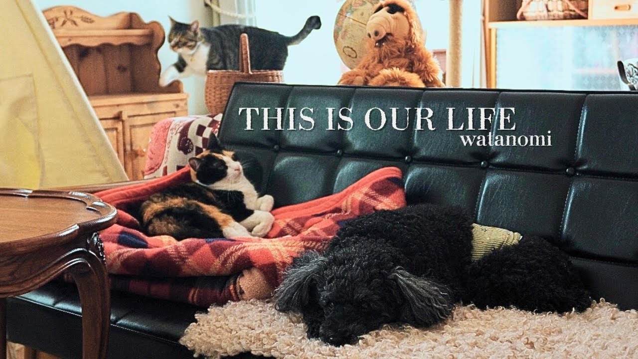 ЭТО НАША ЖИЗНЬ | Жизнь в окружении того, что я люблю 🧺 Представляю вам видео из моей зимней гости...