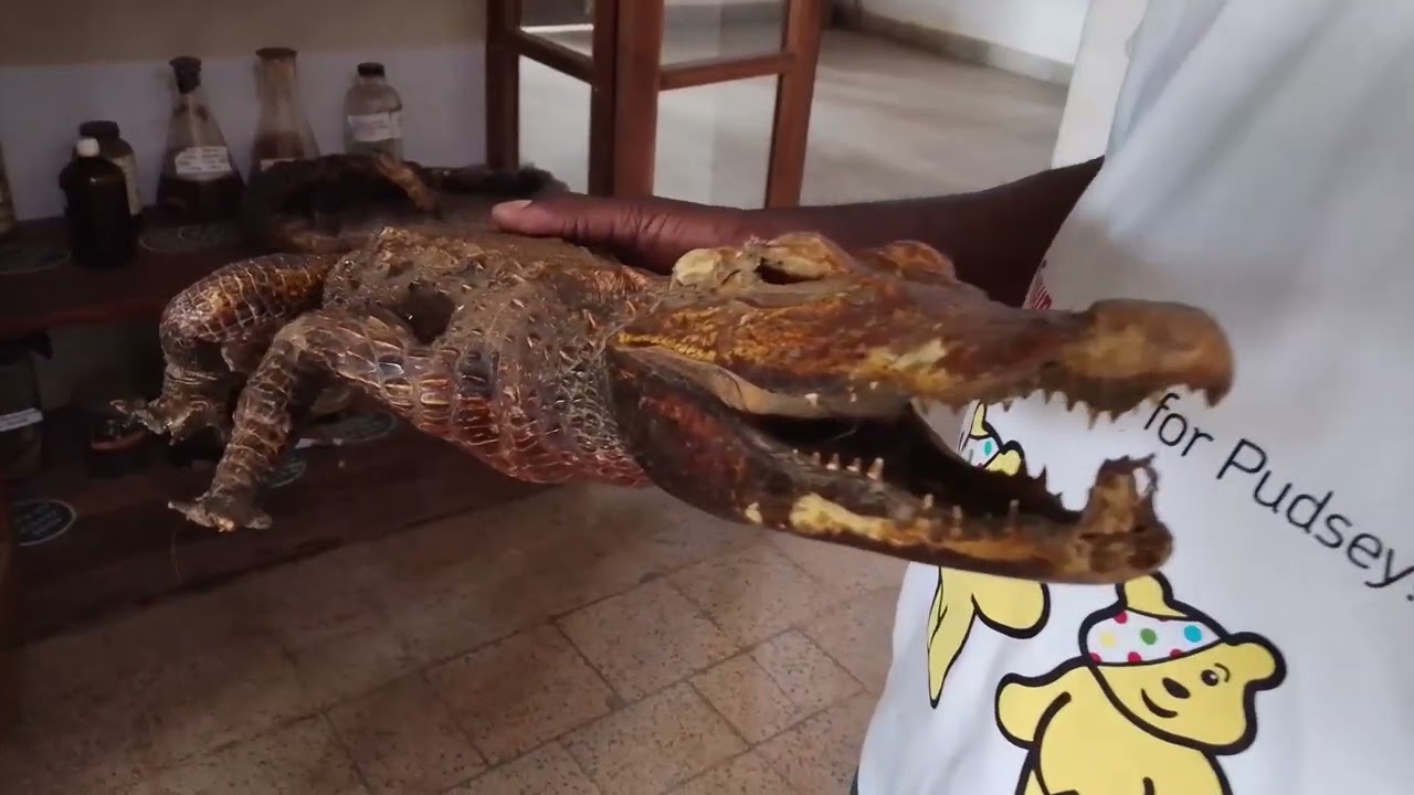 NSEMO TV À KISANTU: JARDIN BOTANIQUE DE KISANTU