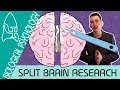 Split Brain Research - Biological Psychology  - Biological Psychology [AQA ALevel]