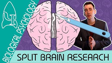 Onderzoek naar gespleten hersenen - Biologische psychologie - Biologische psychologie [AQA ALevel]