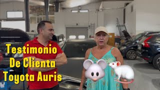 ✅Testimonio de la propietaria del Toyota Auris híbrido 🐭‼️
