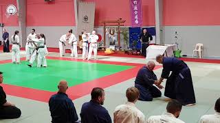 Han Shi Shihan Tony Berkmans - Stage Juin 2019 2E Technique