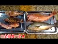 伊豆大島の夜、大量に釣れた魚を全部調理して全部食べてみた【伊豆大島2022】⑥
