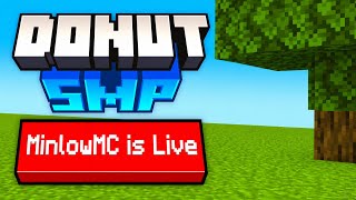 Donutsmp Rating Stashes!