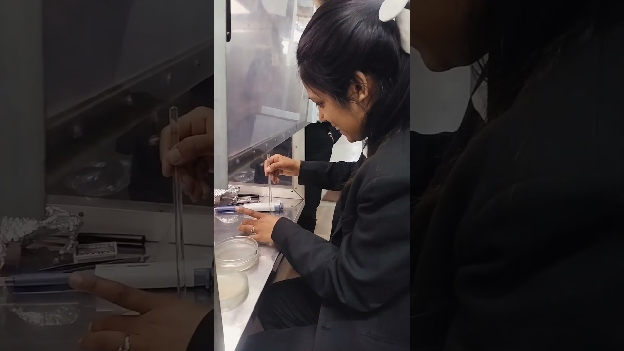 Antibiotic Sensitivity Test 