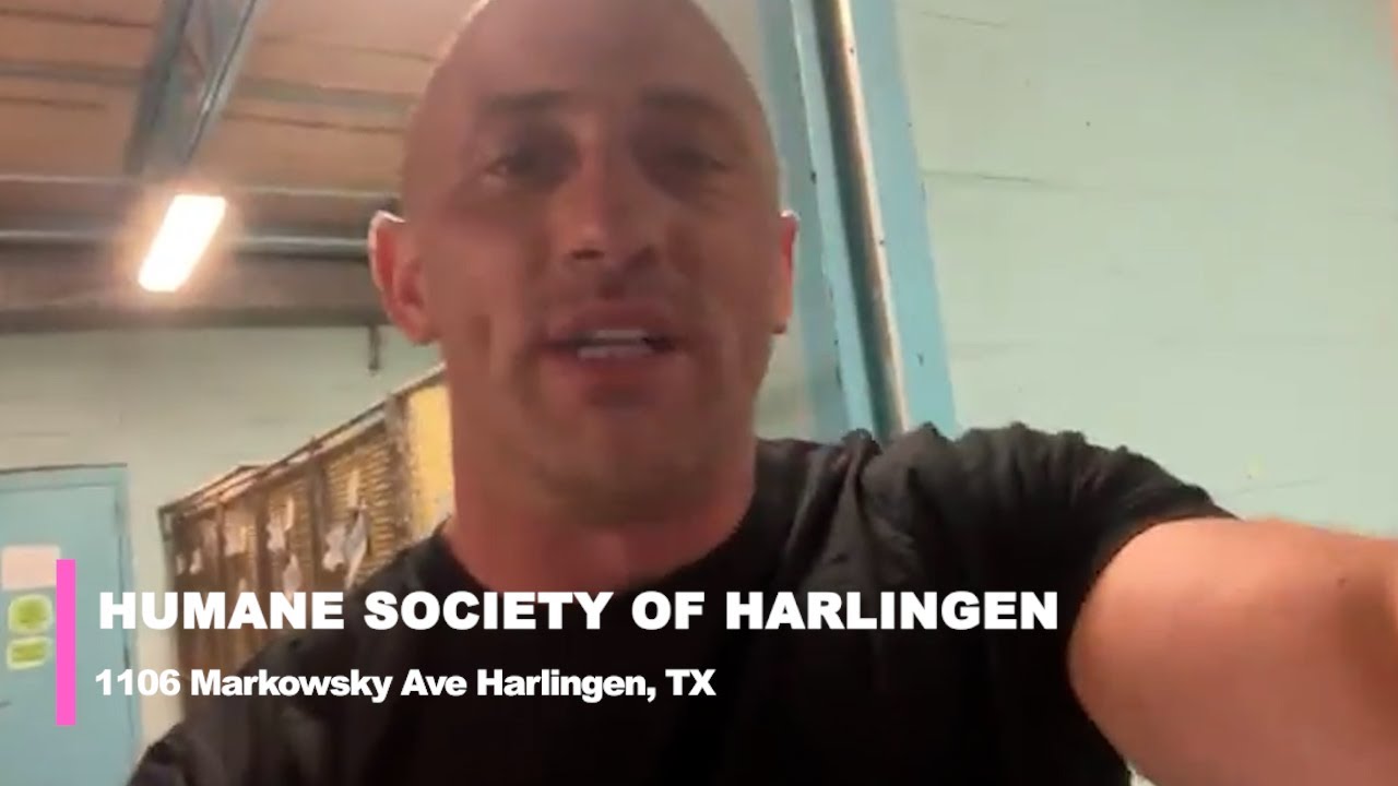 💰 HUMANE SOCIETY OF HARLINGEN raised over 5K To Benefit The Dogs And