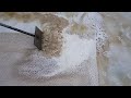 turning a dirty brown carpet to a brand new plain white soft carpet,filth came out*Shocking Results*