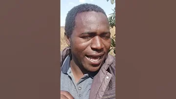 Mabati Bomba 