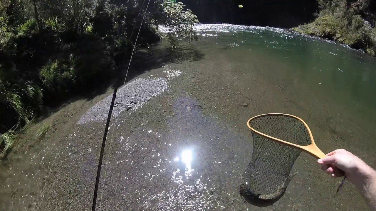 Backcountry fishing, Wellington NZ YouTube