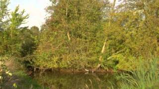 Livarot Terrain Budget 80000 85000 90000 95000