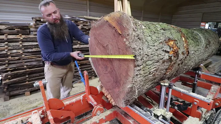 This Log Will Blow You Away, Massive Cherry On The...