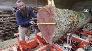 This Log Will Blow You Away, Massive Cherry On The WoodMizer
