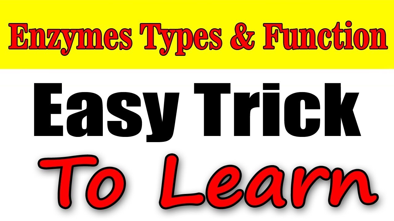 Enzymes Types and Functions (2019 Trick) Learning With Khan YouTube