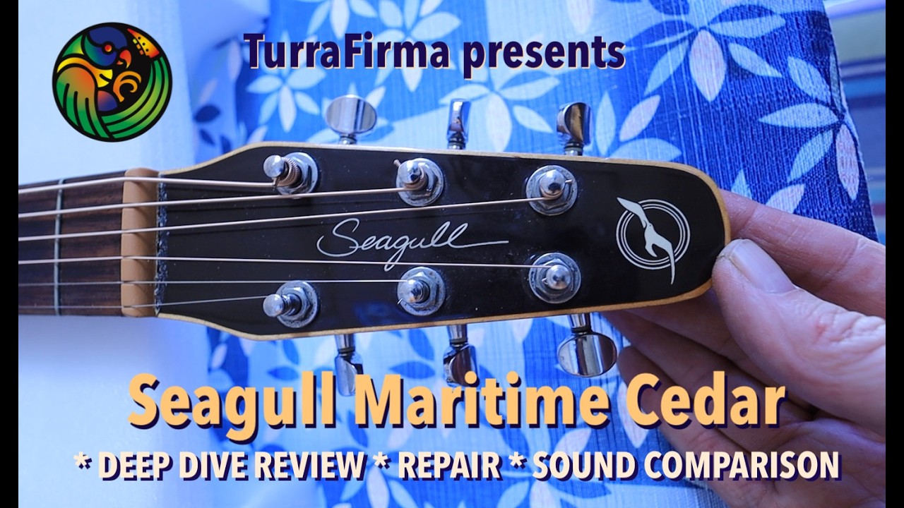 SEAGULL Maritime Cedar GT: DEEP DIVE REVIEW, REPAIR and EASTMAN SEAGULL Maritime Cedar GT: DEEP DIVE REVIEW, REPAIR and EASTMAN
