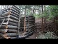 Building A Bushcraft Shelter in the Forest with Tavern Music °PART 5°