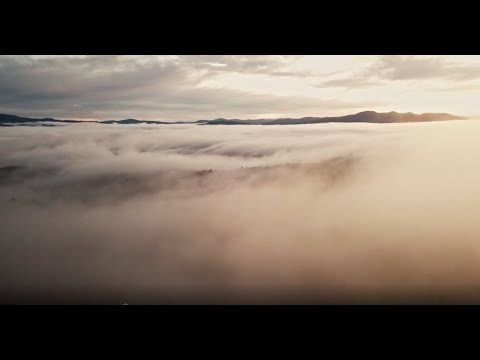 Reseeding Giants - reseeding the Ash forests