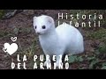 Historia para niños: La pureza del Armiño