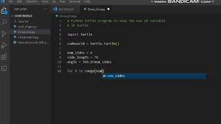 Use of #variable in #python #pattern #program #turtle #algorithm #programming #coding #challenge new