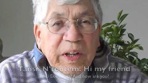 Free Cree -Lesson 1 Tansi