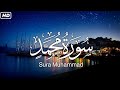          sura muhammad