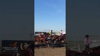 Western Pro Chuck Wagon Races - High River Alberta