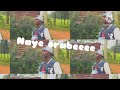 Nagwanchireee By Chimbeba Ft Freke Official Audio 