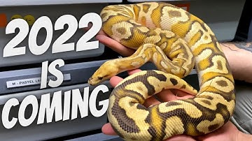 How To Nail Your Breeding Season, TIPS & TRICKS