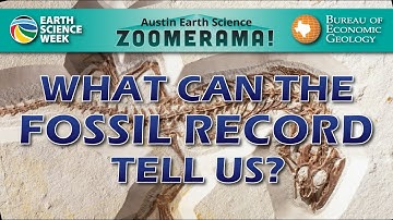 What Can the Fossil Record Tell us?