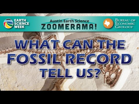 Wideo: Do czego można wykorzystać skamieniałości indeksowe?