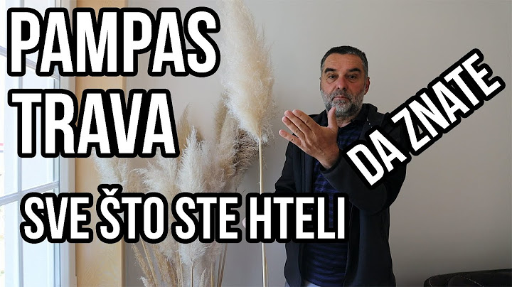 Pampas trava sve što ste hteli da znate