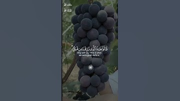 وبشر الذين آمنوا وعملوا الصالحات /القارئ ابراهيم شرف