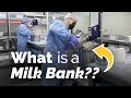 What is a Milk Bank?