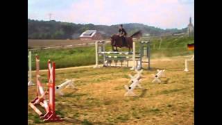 Die Besten Sprünge 2013