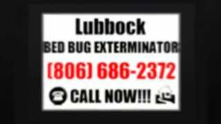 Bed Bug Exterminator Lubbock | (806) 686-2372 | Emergency | Bed Bug Treament | Lubbock | TX