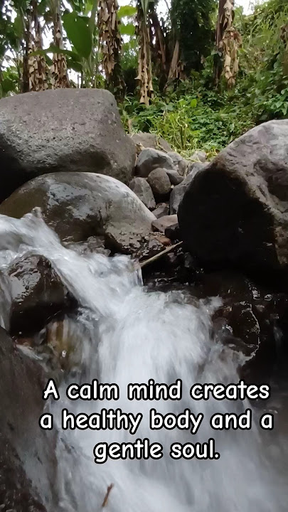 18 Seconds of the sound of water and Healing the mind, body and soul