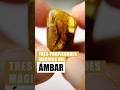 3 PROPIEDADES MÁGICAS del ÁMBAR  😀  #Shorts