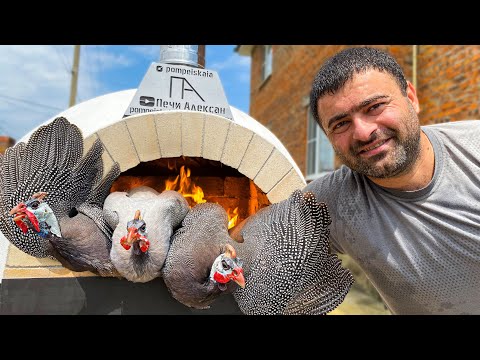 🦚Very Beautiful and Delicious GUINEA FOWL in the Oven! How to cook a guinea fowl delicious?