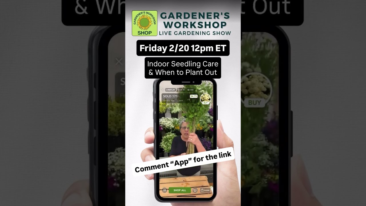 Join me for the live show tomorrow! Comment “App” for the link to download our free phone app - the